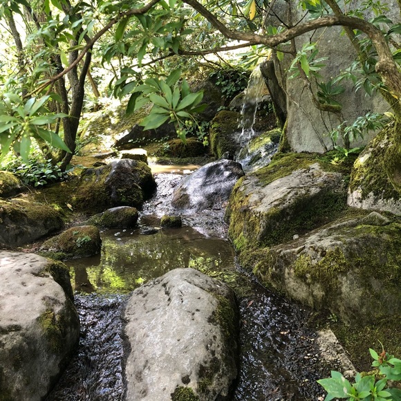 Meet your Posher, T - Picture 5 of 5